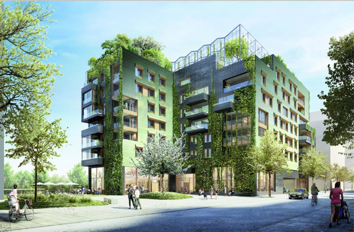 In Hamburgs HafenCity: Neubau „we-house Baakenhafen“ mit Dachgewächshaus
