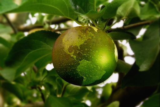 Mit Smart Meter Energie sparen, um die Energiewende zu unterstützen.