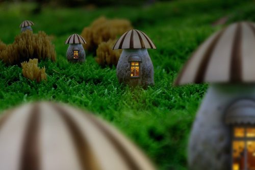 Das Grundbuch: Pilzhäuschen