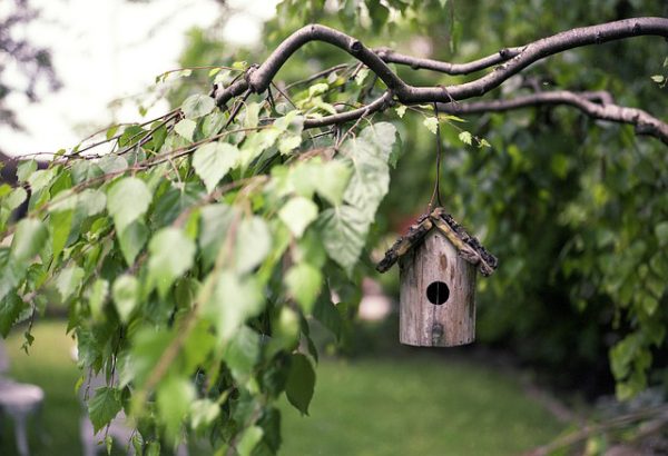 Vogelhaueschen an Baum - sicher ohne Grundbucheintrag