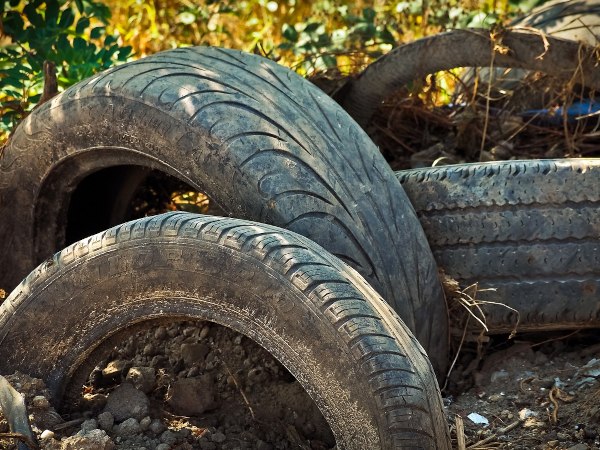 Winterschutz-Tipp: Autoreifen stapeln und Pflanzen reinstellen.