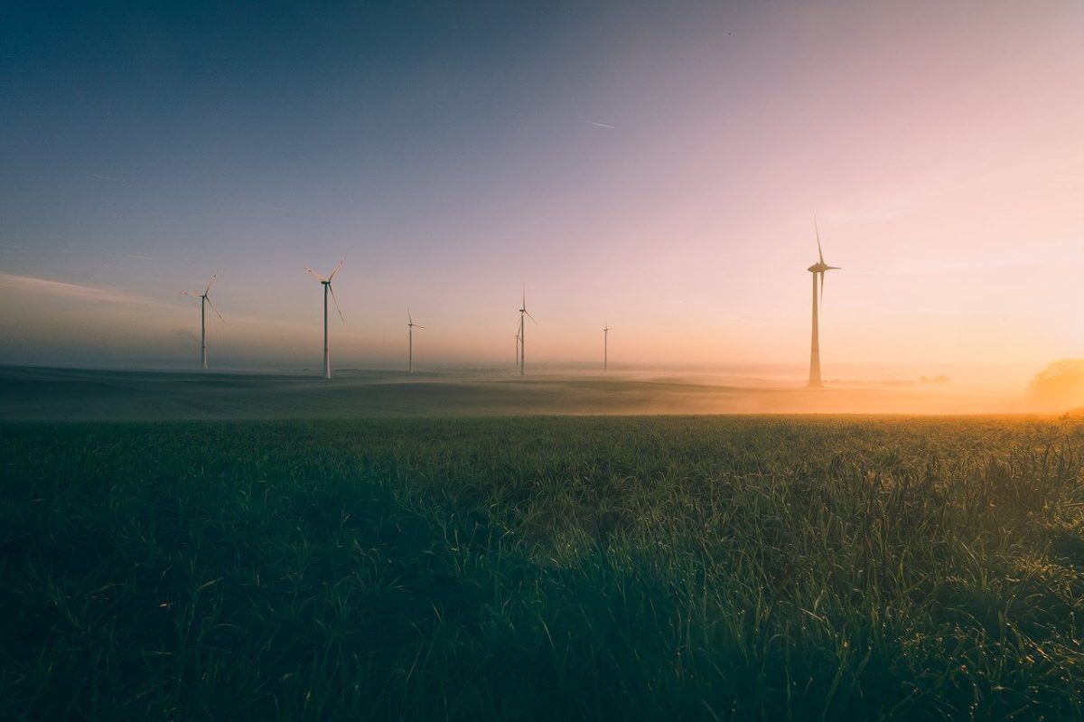 Grüne Wiese mit Windrädern.