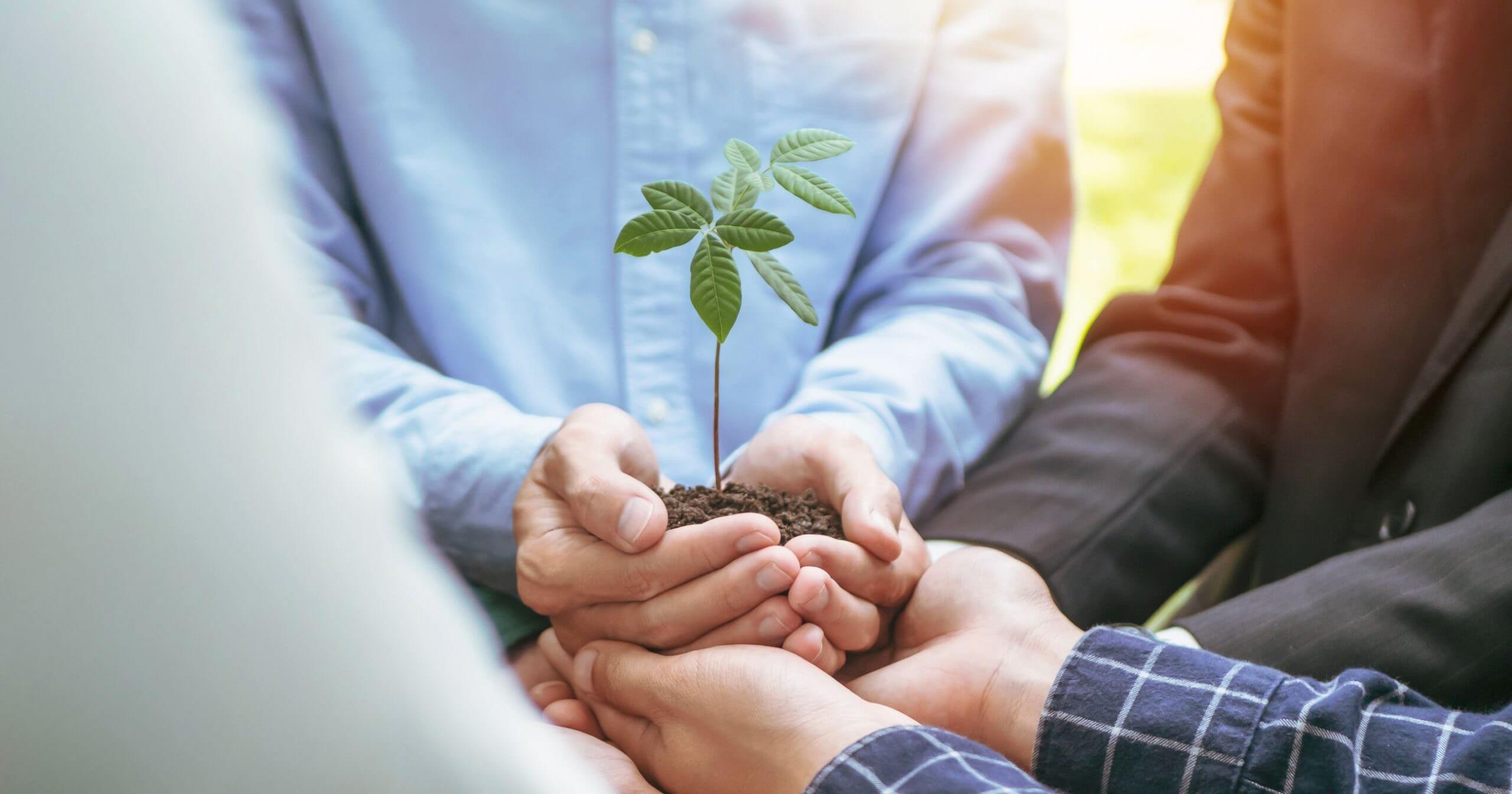 Deutschland auf der Schulbank: Klimaschutz von anderen Ländern lernen