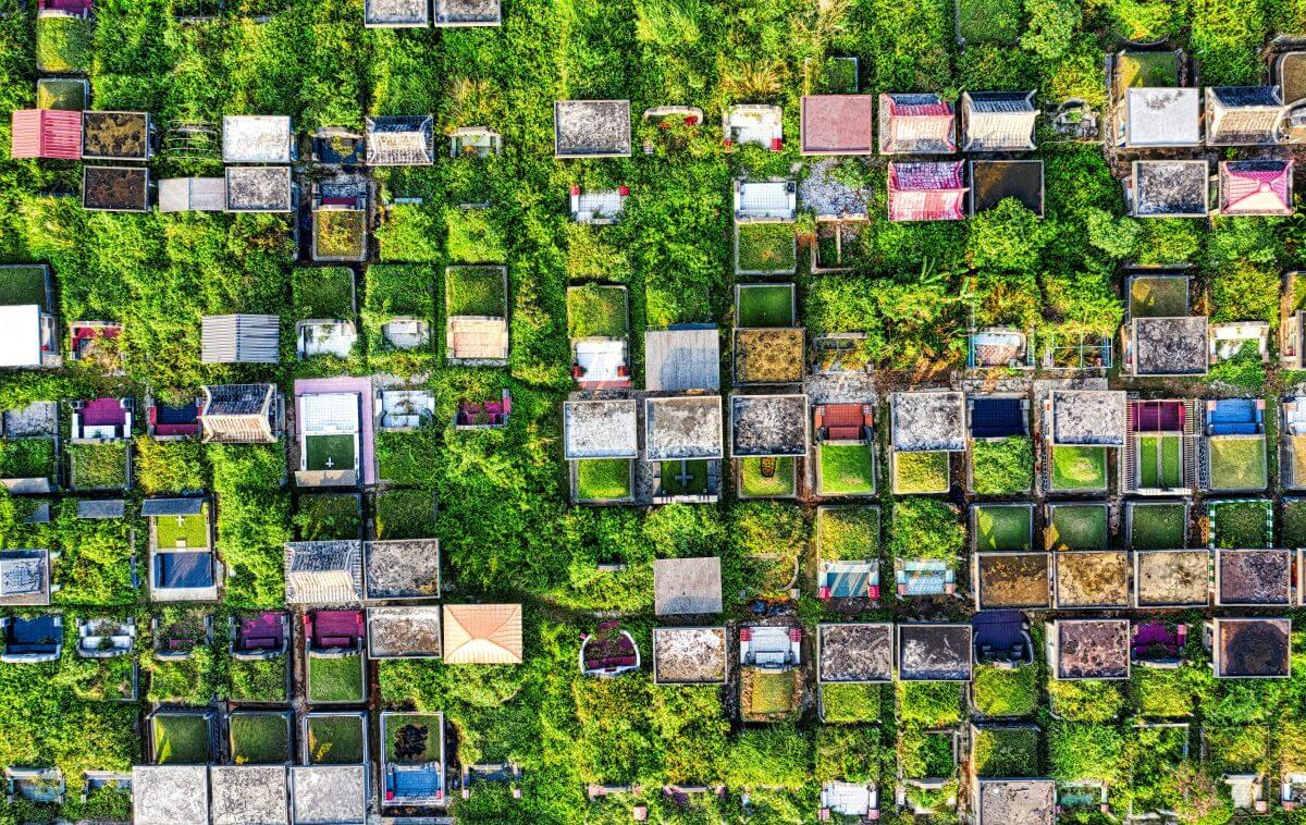 Dutzende begrünter Flachdächer bilden ein Mosaik.