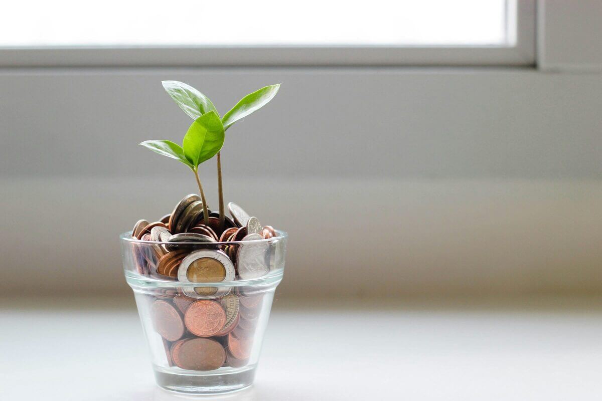 Ein junger grüner Pflanzentrieb wächst aus einem Glas voller Münzen – symbolisch für finanzielle Fördermöglichkeiten zur Aufstockung von Wohngebäuden.